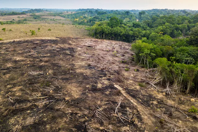 deforested land