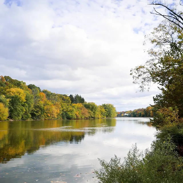 river with trees in fall color