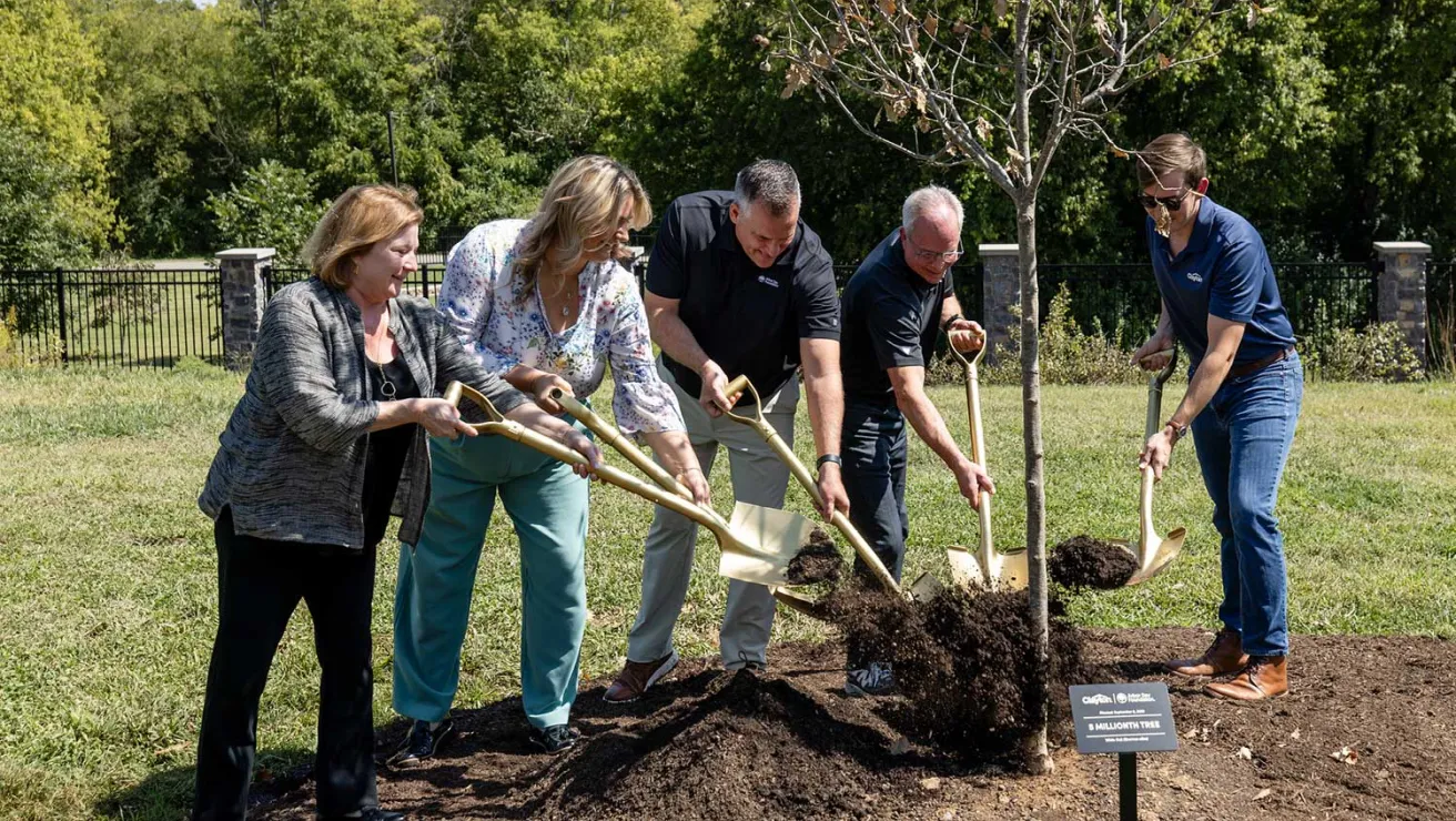 A group of five individuals participate in planting a small tree, using shovels to add soil around it while enjoying a sunny day outdoors.