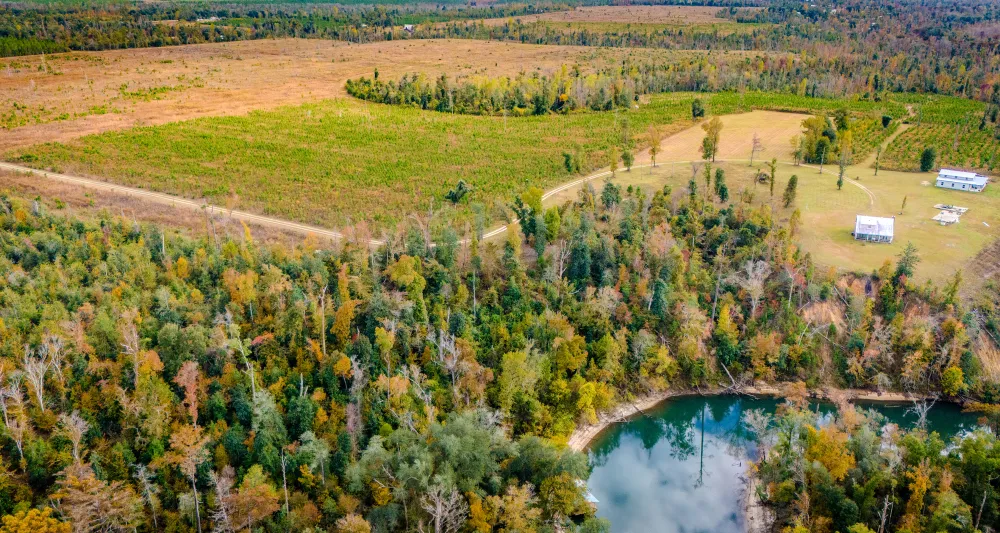 private land freshly forested