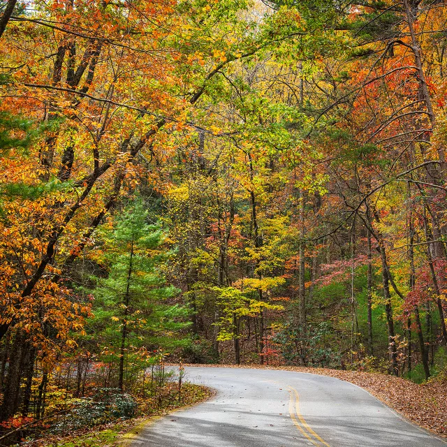 beautiful fall colors along road