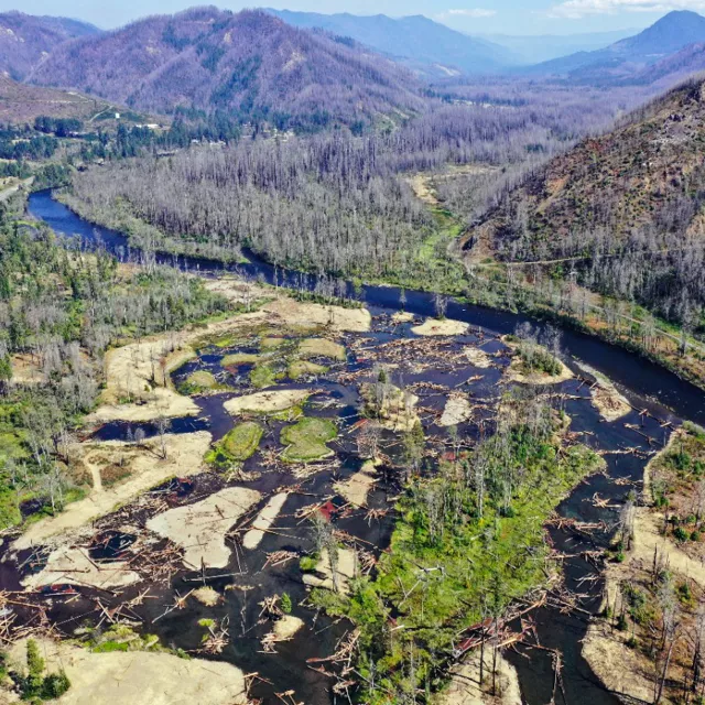 aerial view of water and forest damage