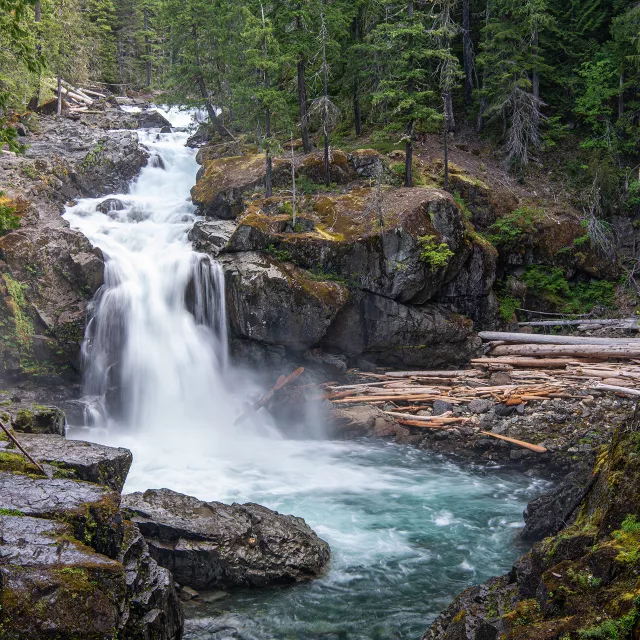 small waterfall with trees