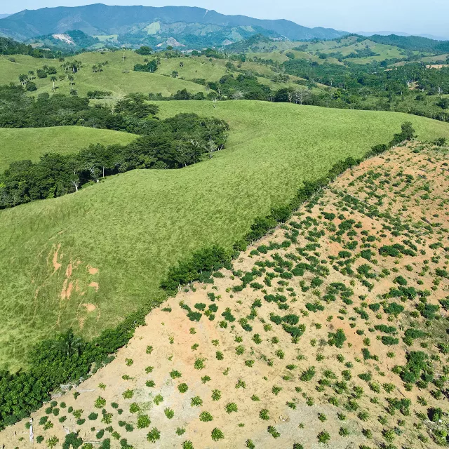 land scarred by heavy rains