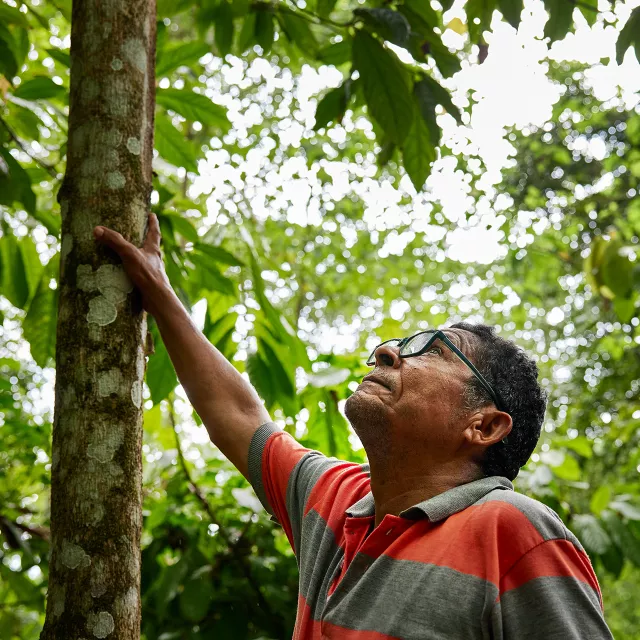 man looking upward in forest