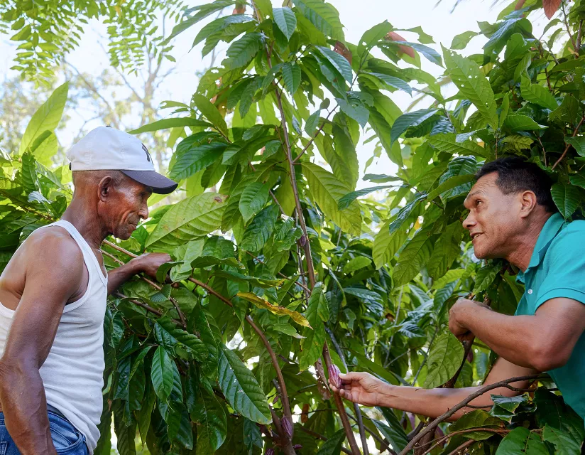 two men discussing tree crops
