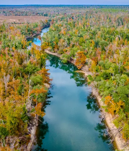 river surrounded by colorful forest