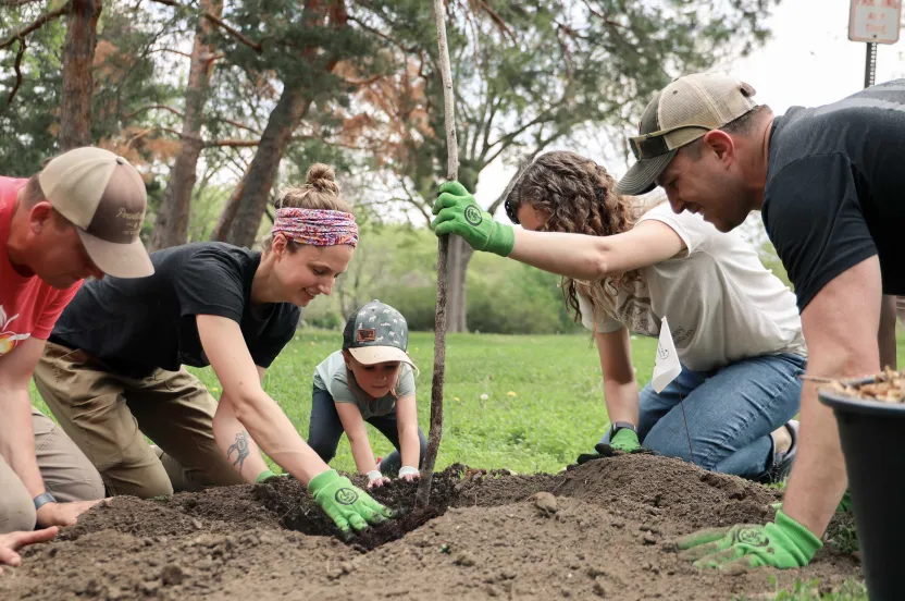 A group of people planting a tree outside