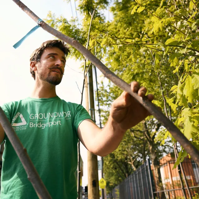 A person in a green shirt stands among young trees, carefully tending to branches with a focus on their hands and the foliage.