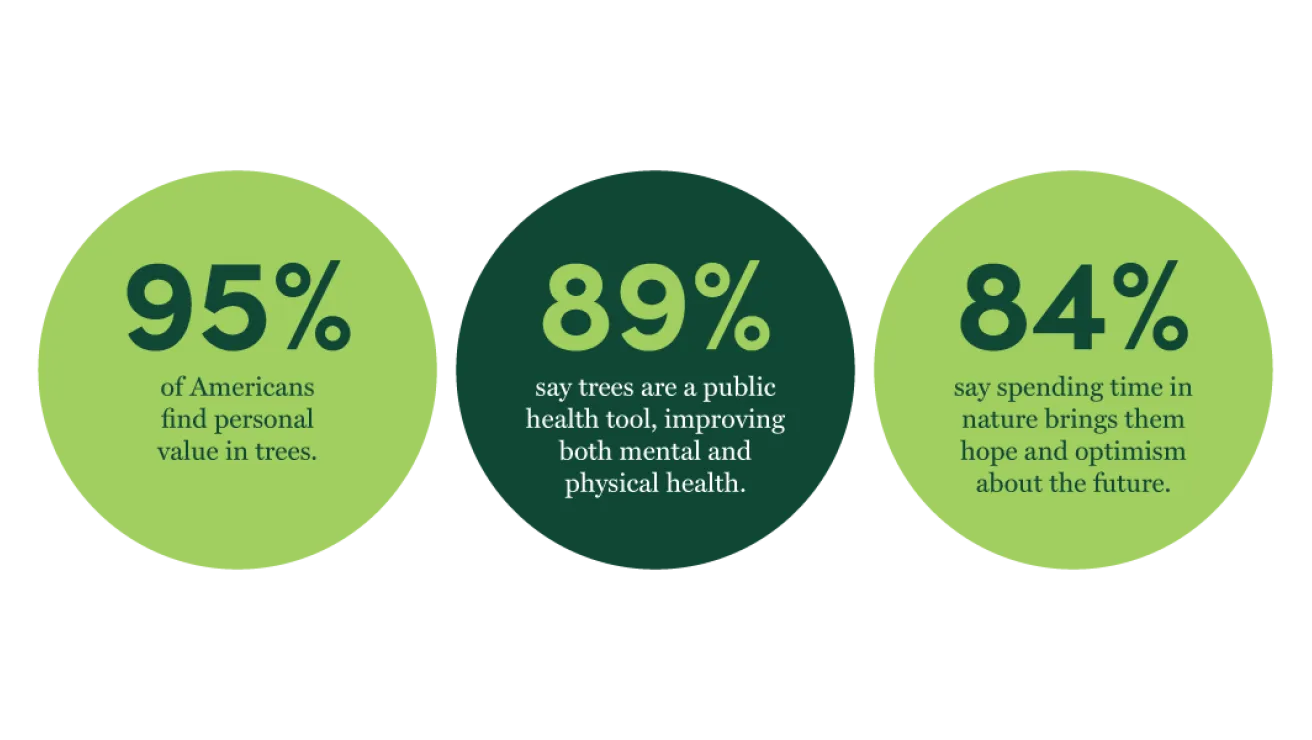 Three green circles displaying statistics: 95% value trees, 89% see trees as health tools, 84% find hope in nature.