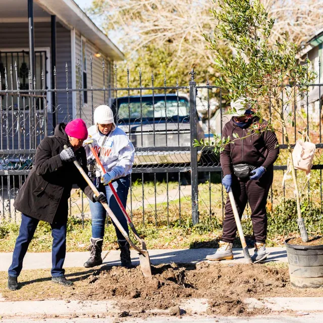 Three individuals are digging in the soil by a fence, preparing to plant a small tree in a residential area.