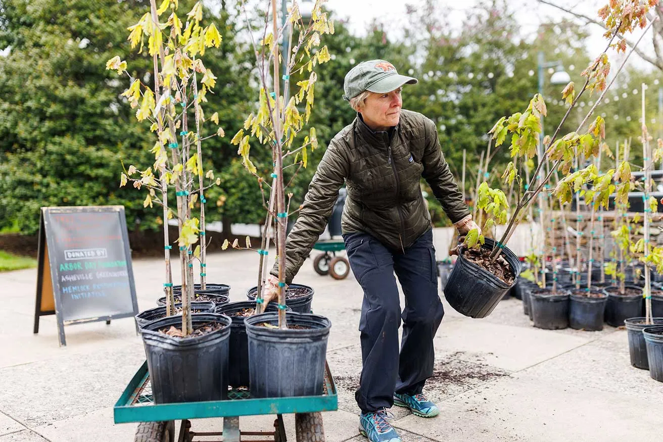 A woman carries a potted tree while loads of young trees in pots are lined up on a cart in a garden setting.