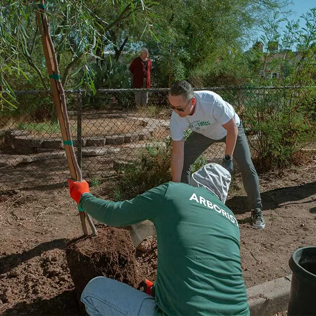 Two volunteers plant a tree in a community garden, while another person observes from the background. Lush greenery surrounds them.