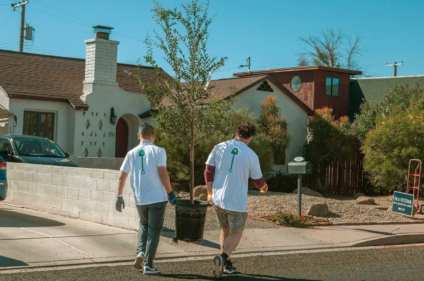 Two volunteers in matching shirts carry a potted tree down a residential street, ready to plant it in a sunny neighborhood.