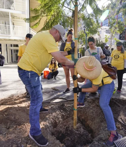 Several individuals in yellow shirts planting a tree in an urban setting.