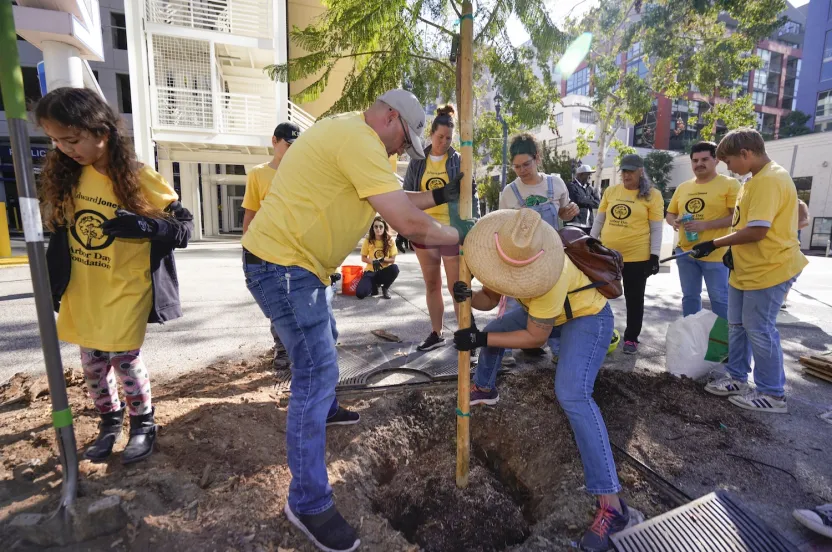 Several individuals in yellow shirts planting a tree in an urban setting.