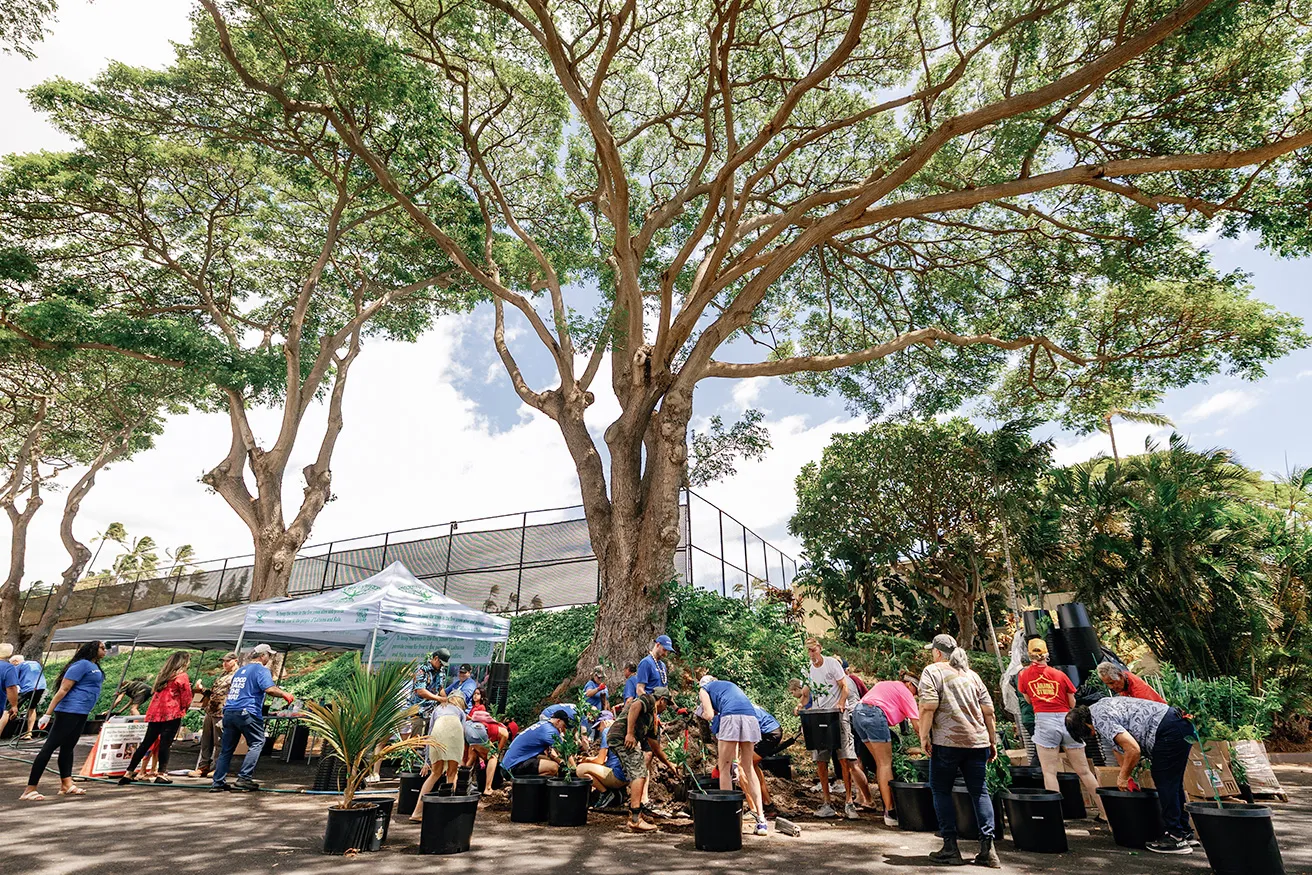 A community event under a large tree, where volunteers plant greenery in pots, surrounded by lush foliage and a tent.