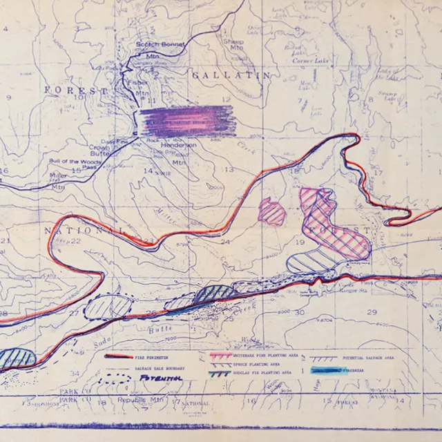 A vintage map showcasing forest regions in Gallatin, highlighting planting areas and potential salvage sites with colorful annotations.