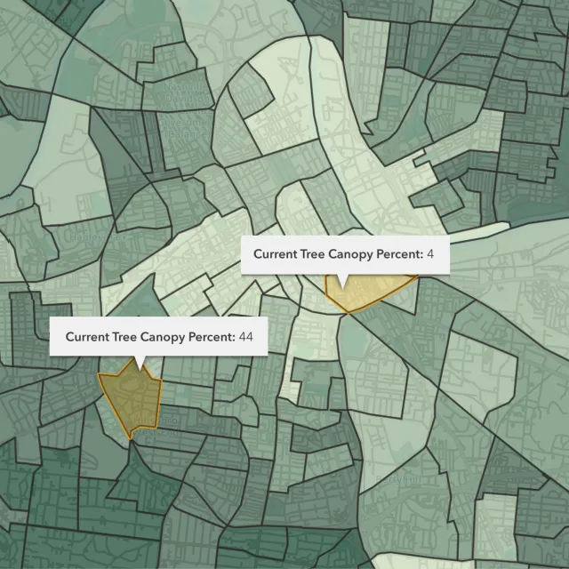 Map showing tree canopy percentages in two areas: one at 4% and another at 44%, highlighting urban greenery variations.