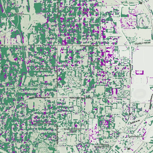 A detailed map showing urban areas with green and purple overlays, representing vegetation and building densities, respectively.