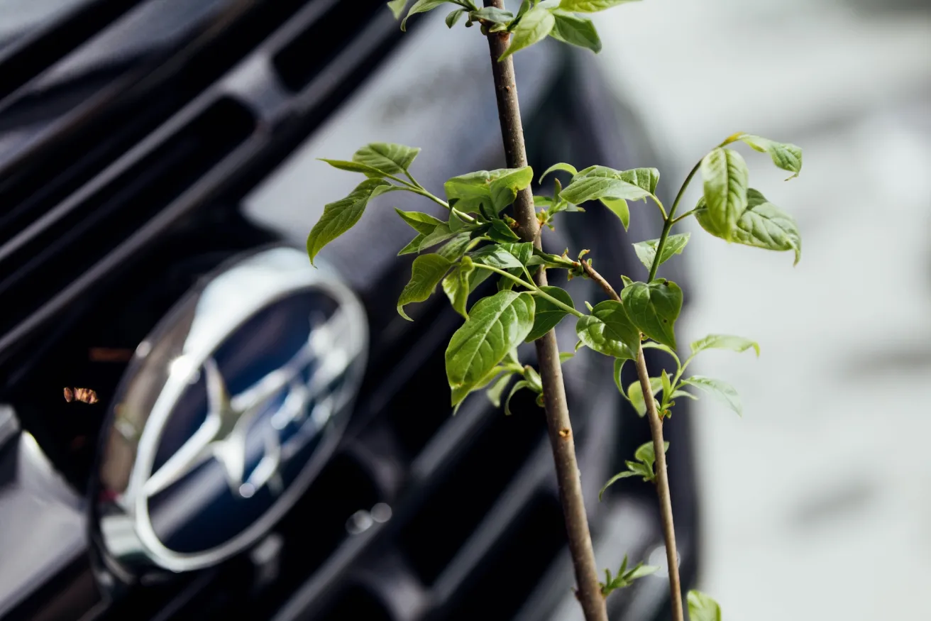 A close-up of green leaves sprouting from a small branch in front of a Subaru car emblem, contrasting nature with automotive design.