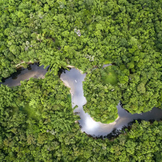 Aerial view of lush green rainforest with winding rivers, reflecting light, nestled among dense foliage and patches of open land.
