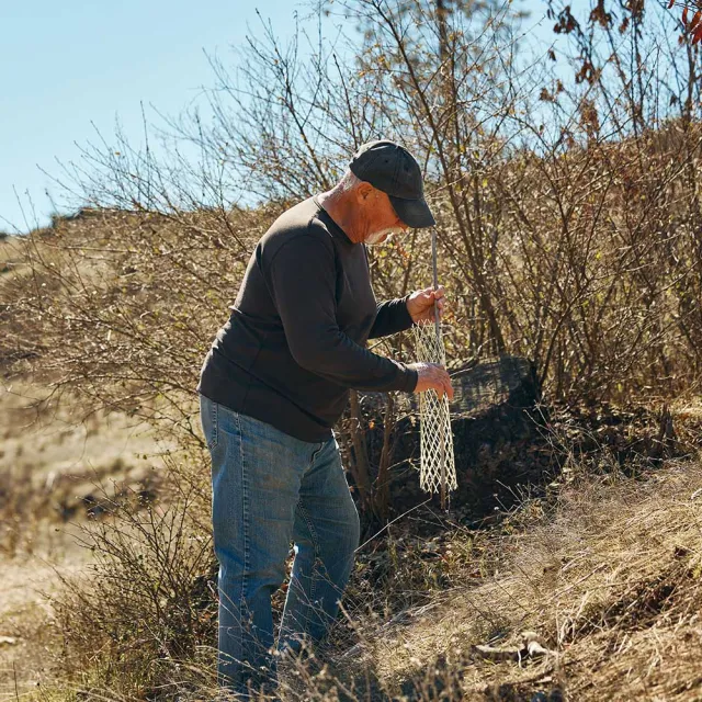 An individual in casual attire crouches next to bushes, holding a length of netting, surrounded by a natural landscape.