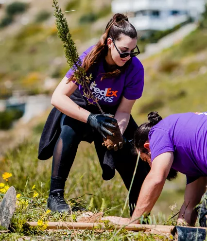 FedEx volunteers planting a tree