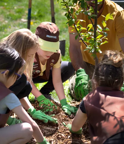 Girl Scouts Brownie troop planting a tree