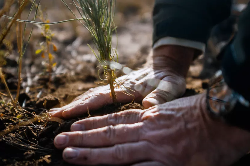 Media Name: QN_Image03_ColorBalanced.jpg