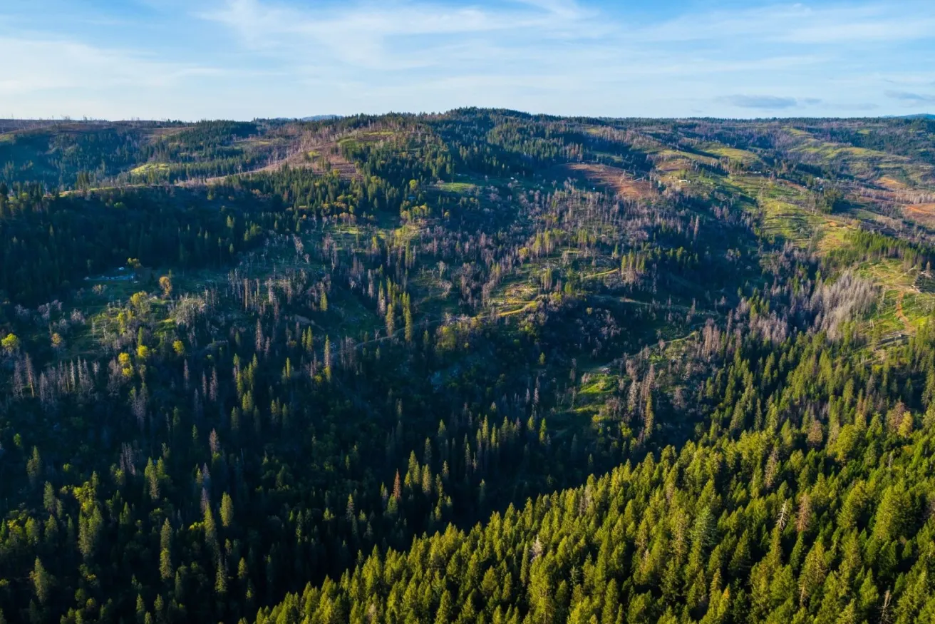 Media Name: resized-iStock-984629608-1.jpg