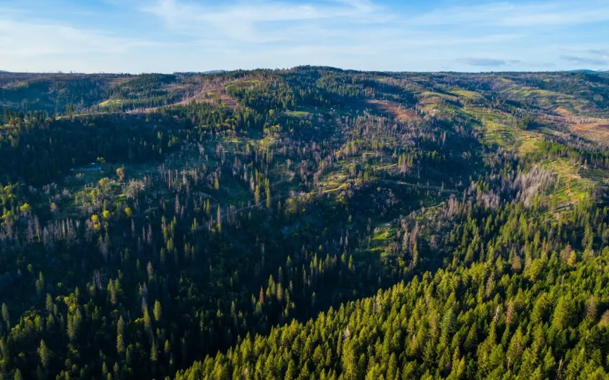 Media Name: resized-iStock-984629608-1.jpg