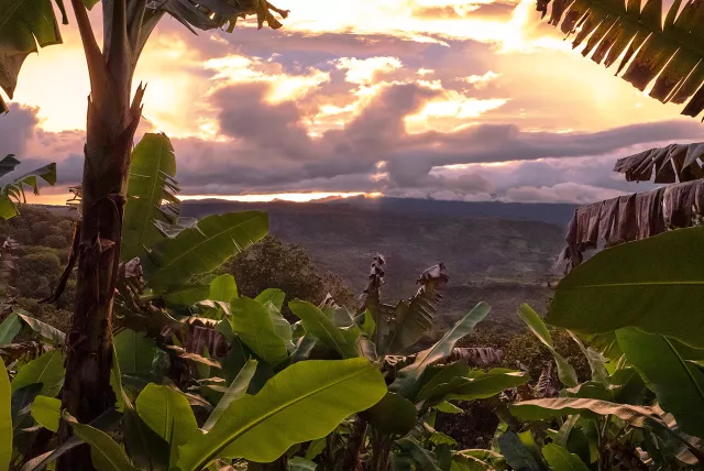 sunset view of rainforest in nicaragua
