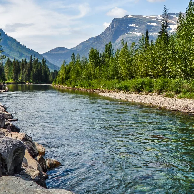 clean river running through forest and mountains.