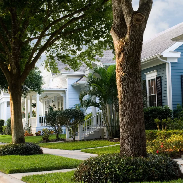 Homes along a neighborhood streed with shade trees
