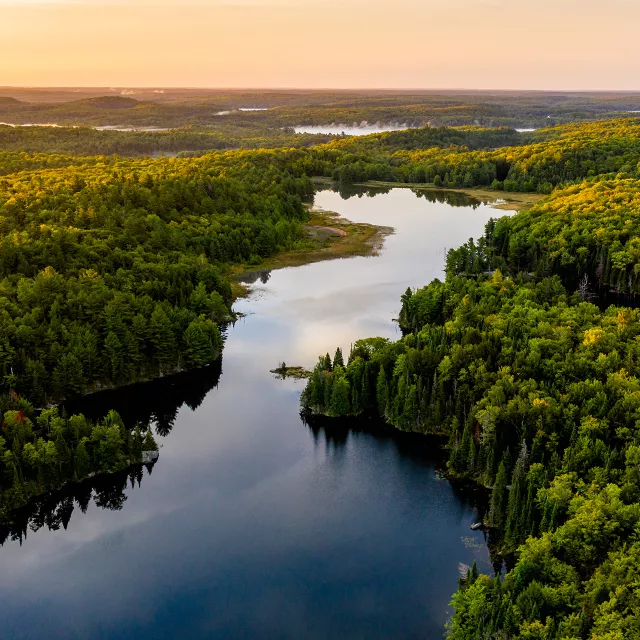 High view of winding river through a forest.
