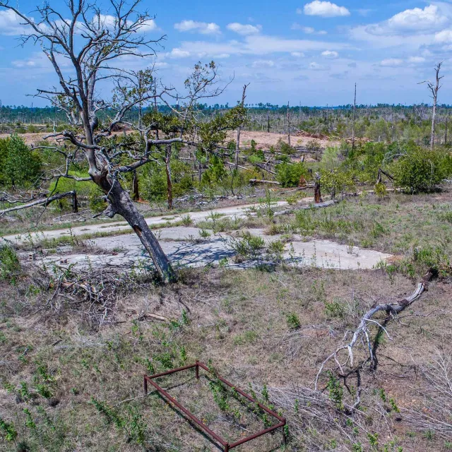 A barren landscape with scattered, leafless trees and dry grass under a blue sky. A rusted metal frame lies in the foreground, suggesting desolation.