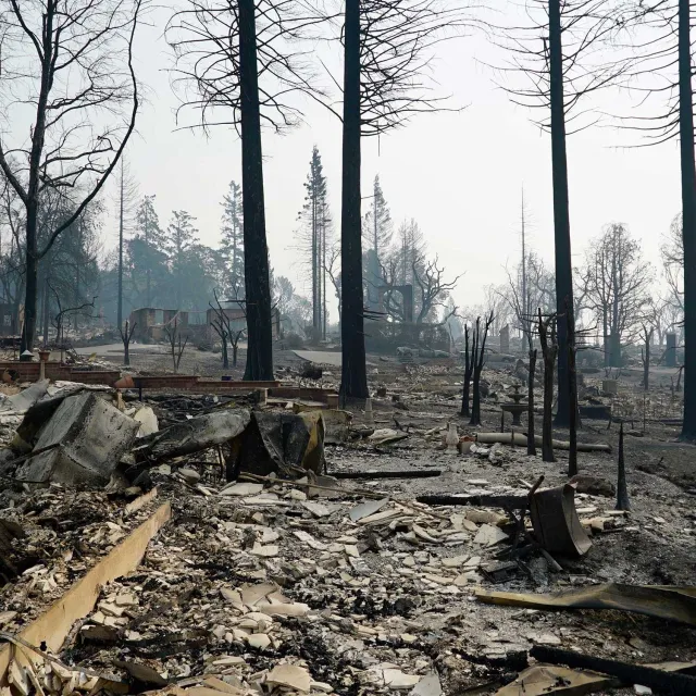 Burned forest landscape with charred trees and rubble scattered across the ground. The sky is hazy, conveying a somber and desolate atmosphere.