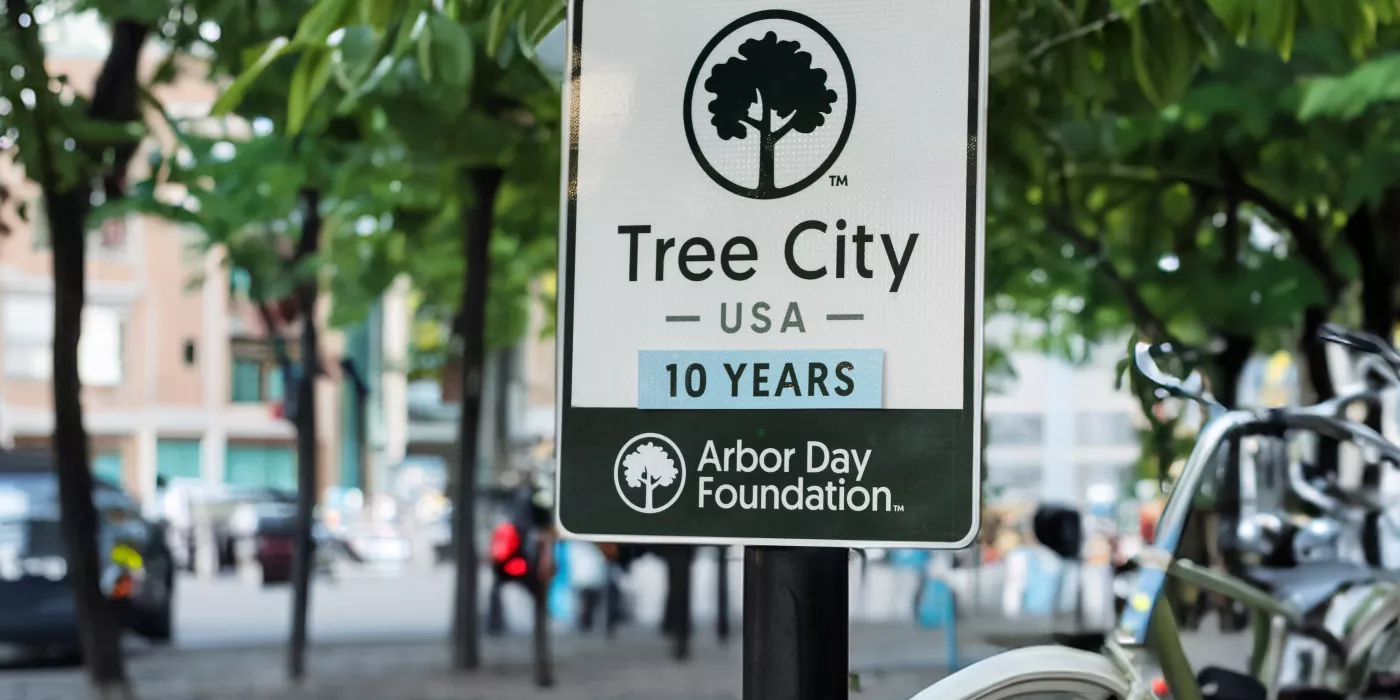 tree city USA sign