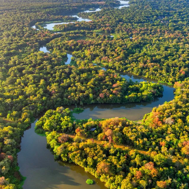 Aerial view of winding rivers surrounded by lush greenery and colorful autumn foliage, showcasing a vibrant natural landscape.