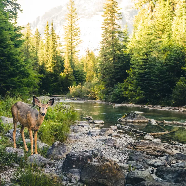 environmental impact