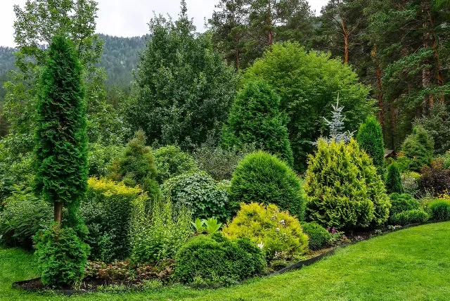 photo of beautifully landscaped yard with multiple tree varieties.