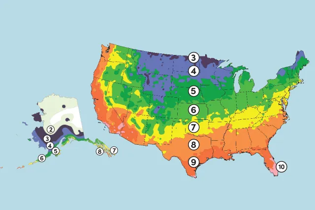 map of plant hardiness zone in the US