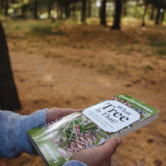 hands holding a copy of the "What Tree is that?" book.