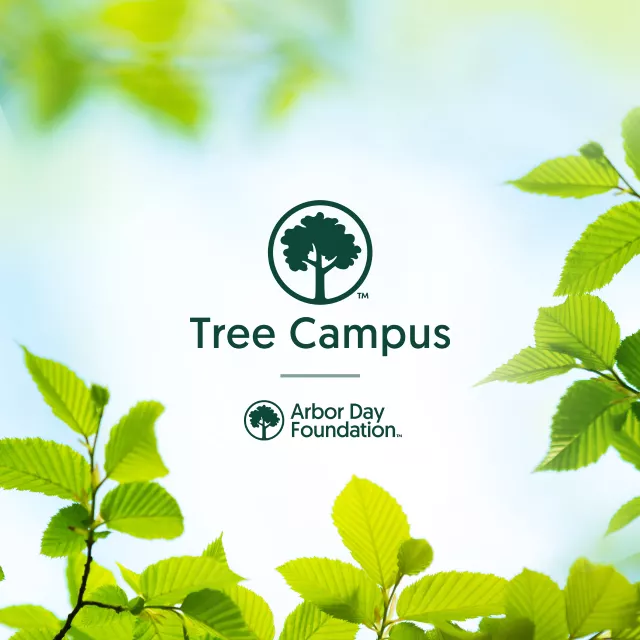 Tree campus logo