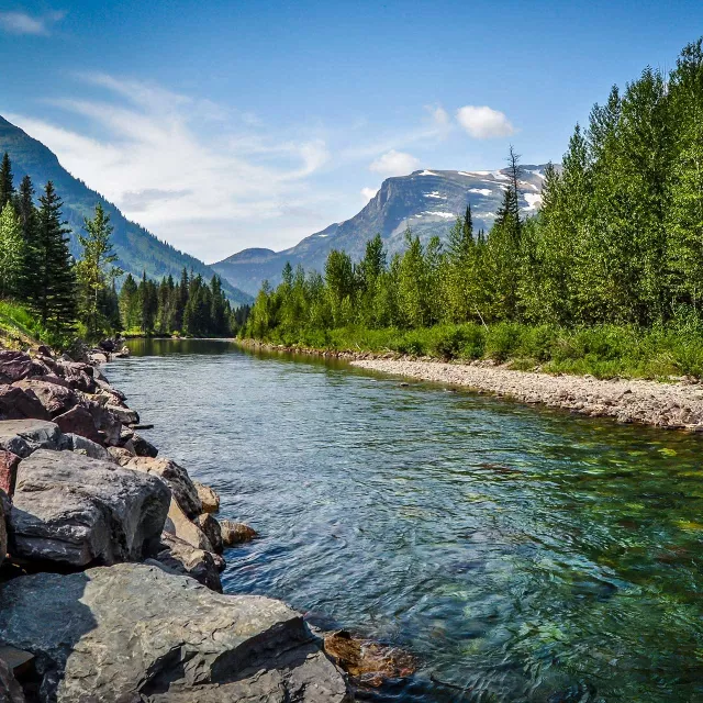 mountain stream running through a forest