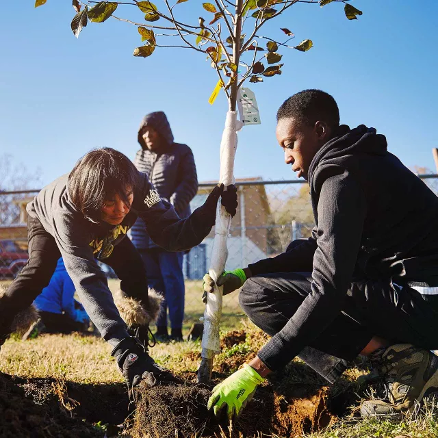 volunteers planting a tree in the fall
