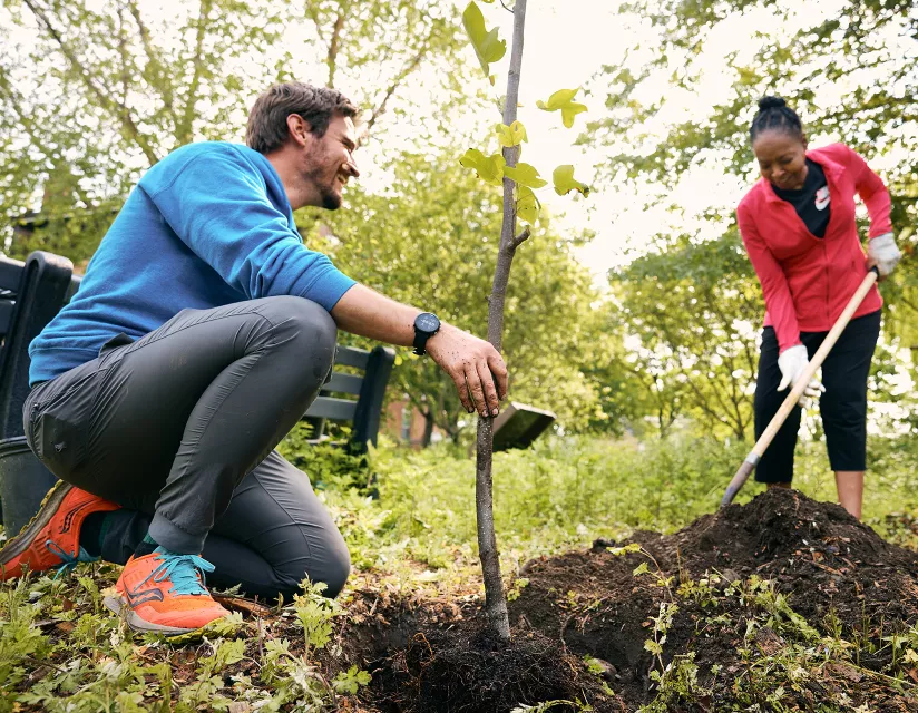 planting partners planting a tree