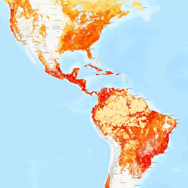 Forest priority heatmap
