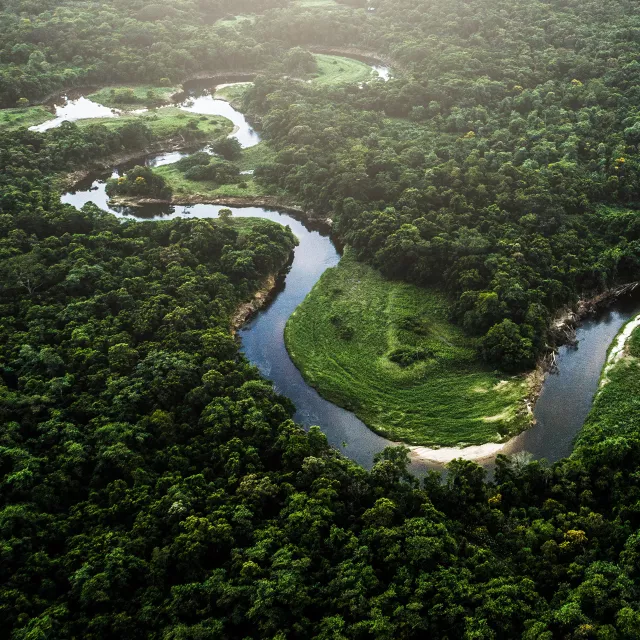 river through forest